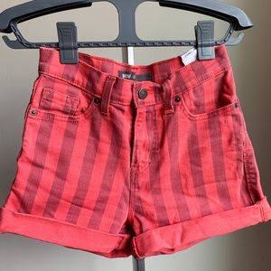 Spunky Levi High Waisted Shorts
